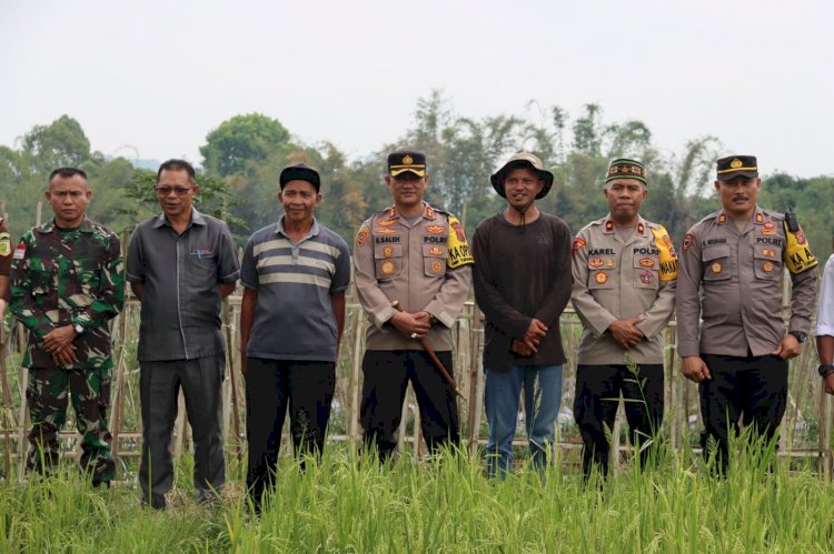 Polres Manggarai dan Polsek Jajaran Ikuti Launching Gugus Tugas Polri Dukung Program Ketahanan Pangan Nasional.