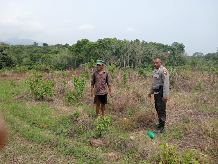 Bripka Theodorus Angkat Bhabinkamtibmas Kec. Satarmese Dorong Pemanfaatan Lahan Tidur untuk Program Ketahanan Pangan