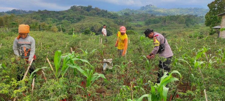 Bhabinkamtibmas Sambangi Warga di Dusun Satar, Bangka Kenda, Wae Ri'i, Manggarai