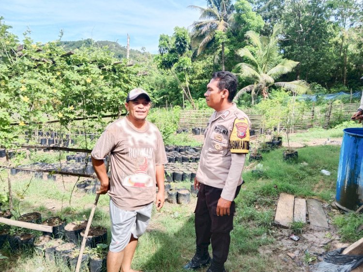 Bhabinkamtibmas Kec. Reok Ajak Warga Manfaatkan Pekarangan Kosong untuk Ketahanan Pangan