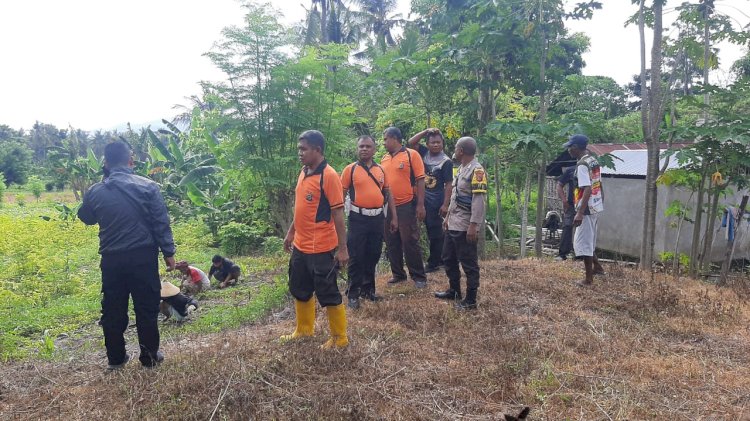 Bhabinkamtibmas dan Anggota Polsek Reo Tinjau Lokasi Penanaman Jagung untuk Mendukung Program Ketahanan Pangan Nasional 2025