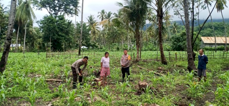 Patroli dan Sambang Bhabinkamtibmas di Desa Robek: Dorong Produktivitas Ketahanan Pangan