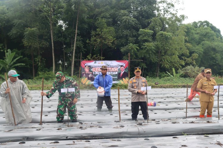 Polres Manggarai Gelar Penanaman Jagung Serentak 1 Juta Hektare untuk Dukung Swasembada Pangan