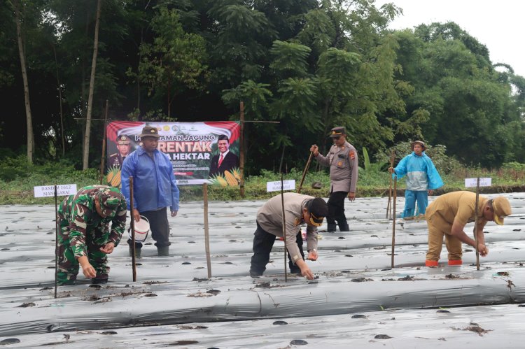 Polres Manggarai Gelar Penanaman Jagung Serentak 1 Juta Hektare untuk Dukung Swasembada Pangan