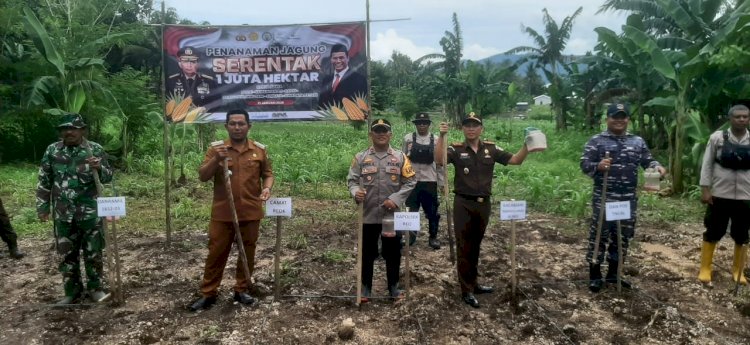 Dukung Program Ketahanan Pangan Nasional, Polsek Jajaran Polres Manggarai Launching Penanaman Jagung Serentak 1 Juta Hektar.