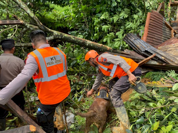 Brimob Bergerak Bantu Evakuasi Korban Banjir dan Longsor di Jateng