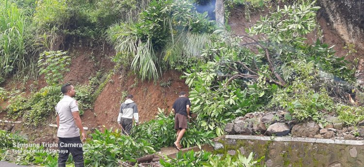 Bhabinkamtibmas Kec. Cibal AIPDA Ramly Budiman Pantau Lokasi Longsor di Kampung Ringkas