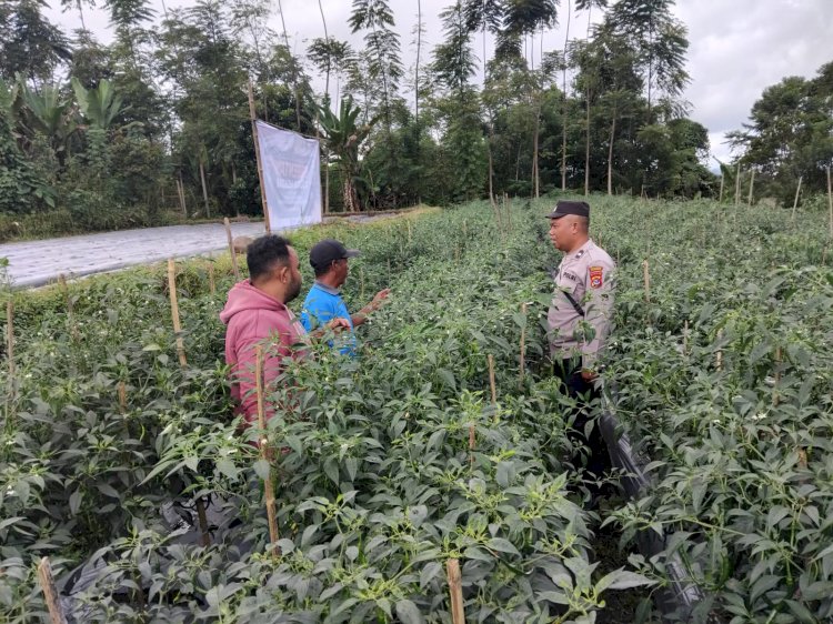 Polres Manggarai Dampingi Kelompok Tani KWT Apung dalam Program Ketahanan Pangan