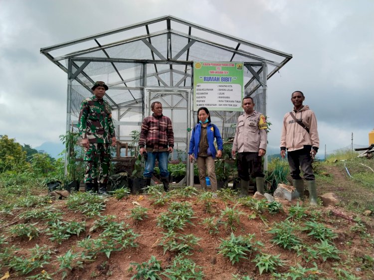 Bhabinkamtibmas Kecamatan Lelak Dukung Program Ketahanan Pangan Melalui Pendampingan Petani