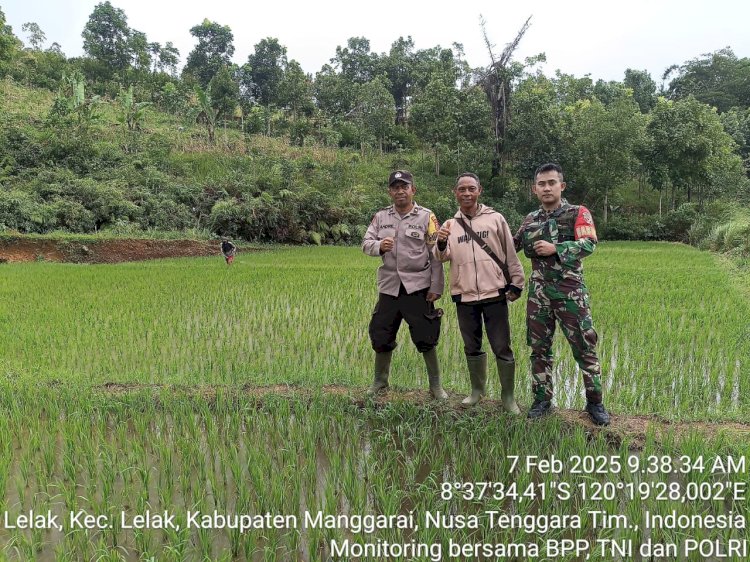 Bhabinkamtibmas Kecamatan Lelak Pantau dan Dampingi Petani dalam Program Ketahanan Pangan