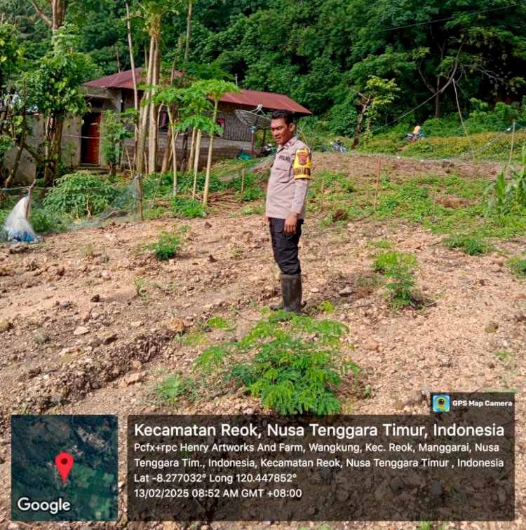 Bhabinkamtibmas Laksanakan Pengecekan dan Pengawasan Lahan Penanaman Serentak di Lingkungan Polres Manggarai