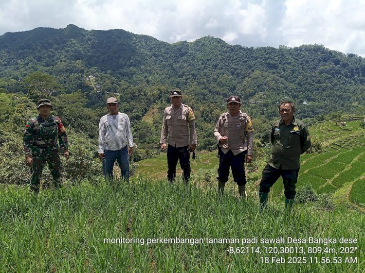 Bhabinkamtibmas Kecamatan Lelak Dampingi Petani dalam Program Ketahanan Pangan