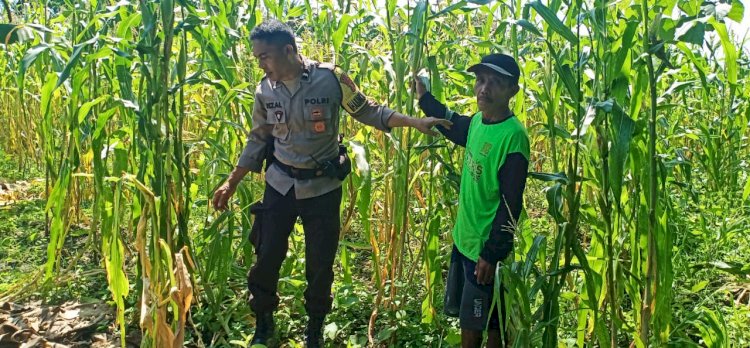 Bhabinkamtibmas Lakukan Pendampingan Petani dalam Program Ketahanan Pangan