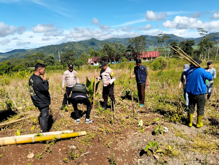 Bhabinkamtibmas Kecamatan Ruteng dan Kelompok Tani Laksanakan Penanaman Jagung Simbolis