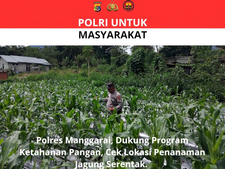 Polres Manggarai Lakukan Pengecekan dan Pengawasan Lahan Penanaman Serentak