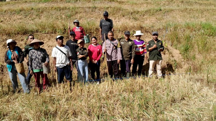 Aipda Kornelius Jemarus Bhabinkamtibmas Kecamatan Rahong Utara Dampingi Petani Dalam Program Ketahanan Pangan