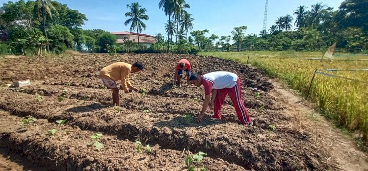 Bhabinkamtibmas Kelurahan Baru Dukung Program P2B, Aktif Bersama Warga Manfaatkan Lahan Tidur