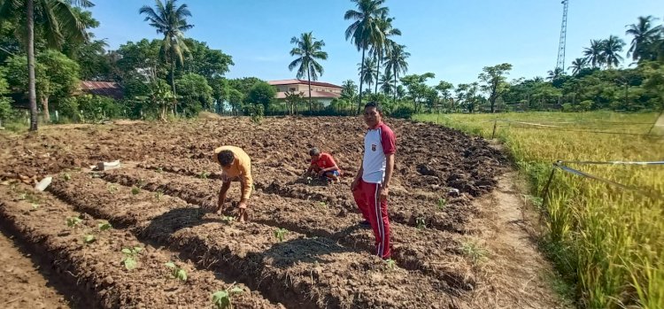 Bhabinkamtibmas Kelurahan Baru Dukung Program P2B, Aktif Bersama Warga Manfaatkan Lahan Tidur
