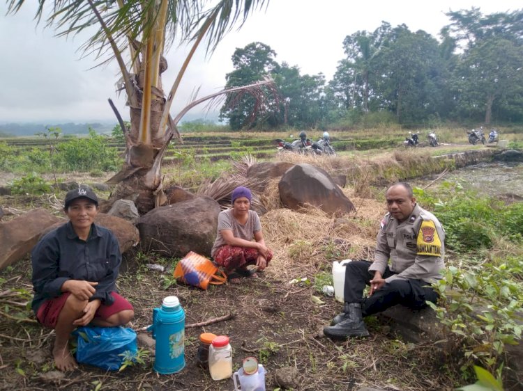 Bhabinkamtibmas Satar Mese Sambangi Petani, Sosialisasi Program Ketahanan pangan
