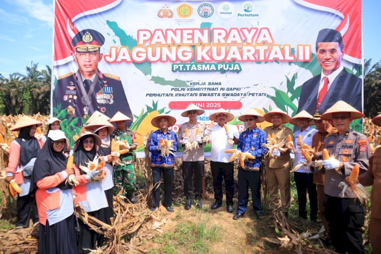 Kapolres Kampar Panen Raya Jagung, Wujud Dukungan Nyata untuk Ketahanan Pangan Nasional