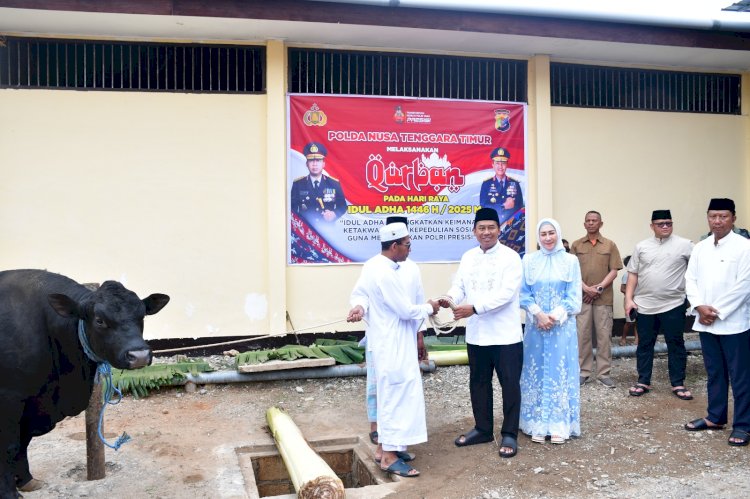 Polda NTT Sembelih 115 Hewan Kurban Sambut Idul Adha 1446 H