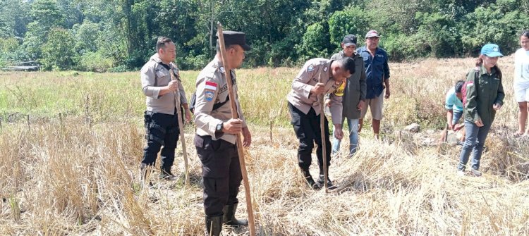 Bhabinkamtibmas Dukung Program Ketahanan Pangan Melalui Penanaman Jagung Di Kecamatan Cibal Barat