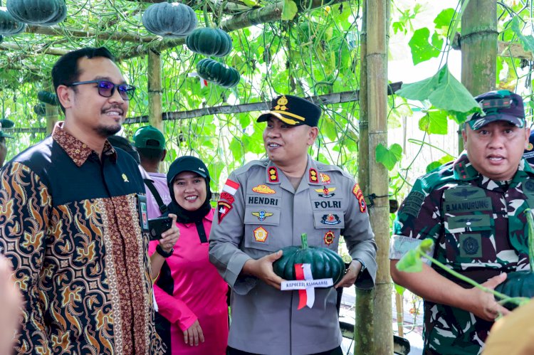 Kapolres Manggarai Hadiri Panen Raya Hortikultura Kodim 1612 Bersama Forkopimda