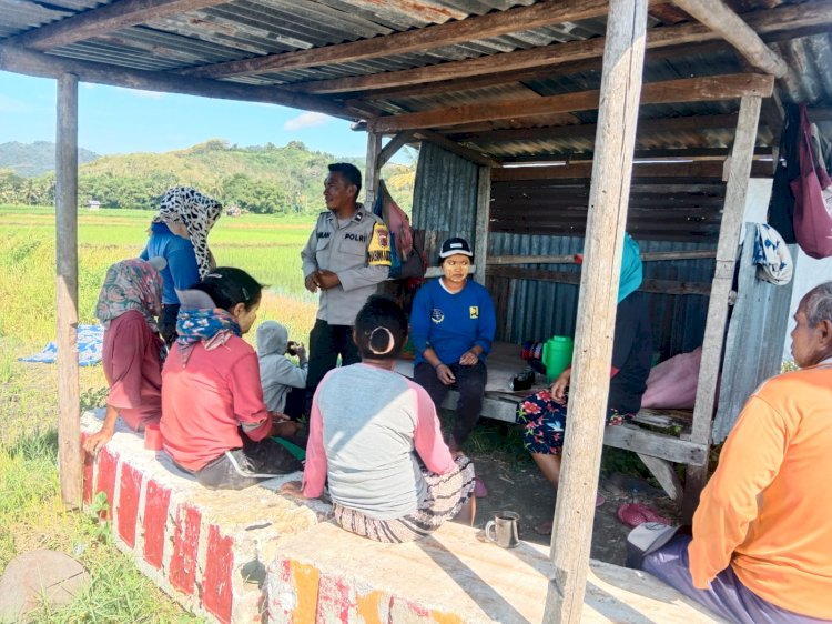 Bhabinkamtibmas Kelurahan Reo Aktif Sambangi Warga Tanam Bawang, Dukung Ketahanan Pangan Dan Kamtibmas