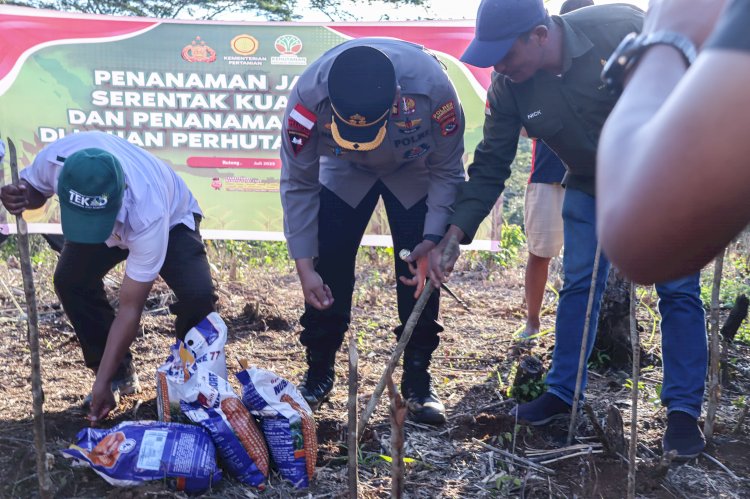 Kapolres Manggarai Dukung Ketahanan Pangan Penanaman Jagung Serentak Kuartal III