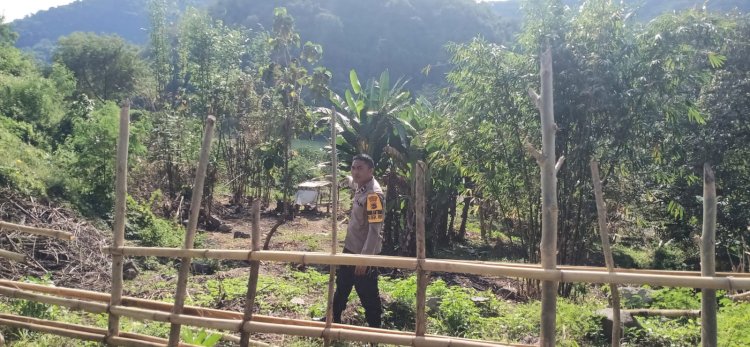 Bhabinkamtibmas: Inisiatif Tanam Jagung Dukung Ketahanan Pangan