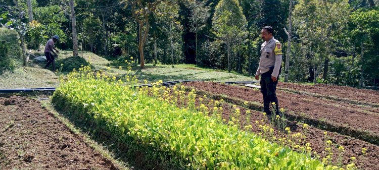 Bhabinkamtibmas Sambangi Kelompok Tani Bea Woing, Jalin Kedekatan dengan Warga