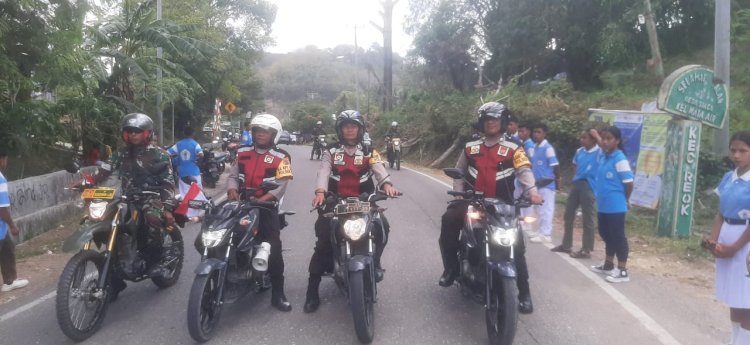 Semarak Pawai Karnaval HUT RI ke-80 Kecamatan Reok