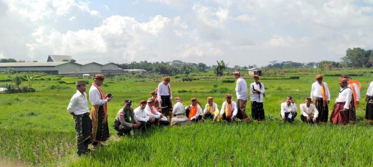 Bhabinkamtibmas Langke Rembong Amankan Ritual Adat Tahunan di Gendang Lao