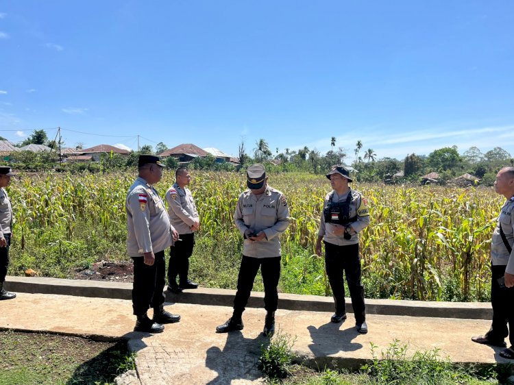 Kabag SDM Polres Manggarai Tinjau Lahan Persiapan Panen Raya Jagung di Wae Ri’i