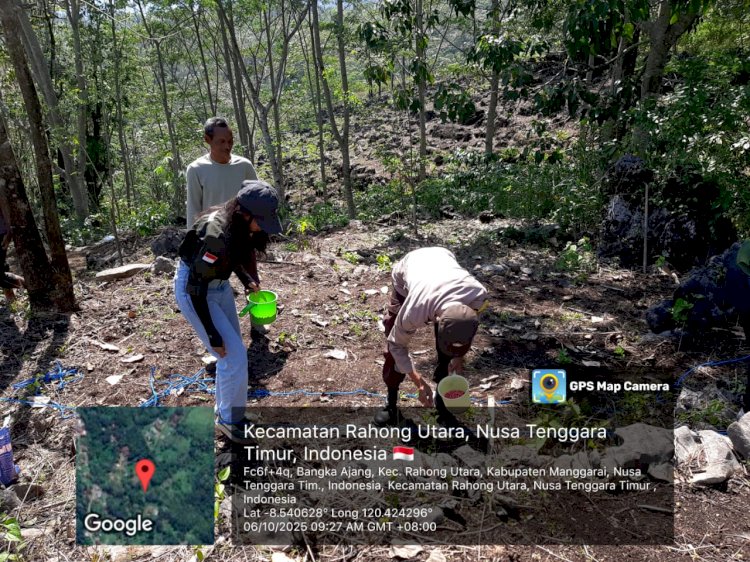 Bhabinkamtibmas Aipda Ridwan Nelson Lubalu Dorong Petani Jagung Tingkatkan Produktivitas di Rahong Utara