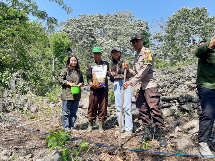 Bhabinkamtibmas Aipda Ridwan Nelson Lubalu Dorong Petani Jagung Tingkatkan Produktivitas di Rahong Utara