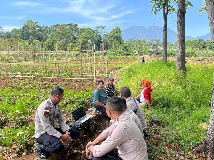 Polres Manggarai Dukung Program Ketahanan Pangan Lewat Penanaman Jagung Kuartal IV di Golo Dukal