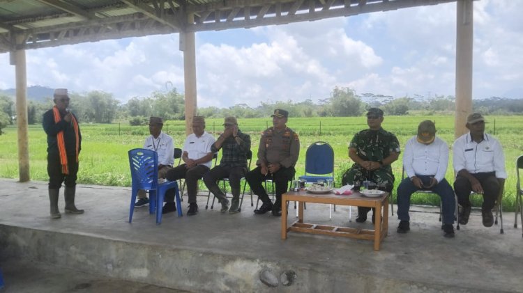 Kapolres Manggarai Hadiri Panen Kentang dalam Rangka Pengembangan Hortikultura Kabupaten Manggarai