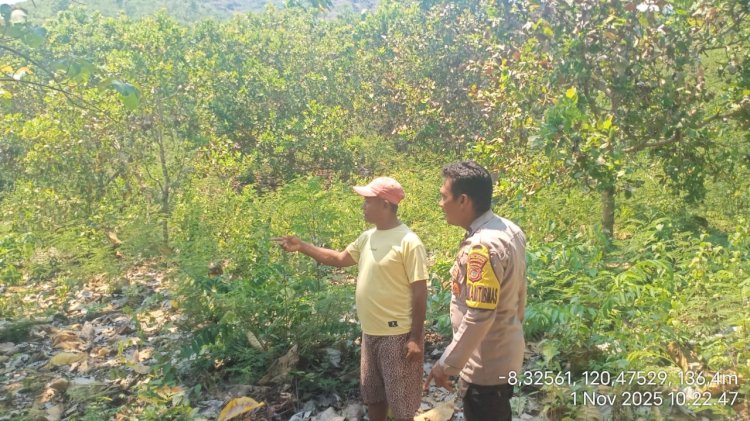 Dukung Ketahanan Pangan, Bhabinkamtibmas Reok Lakukan Monitoring Lahan Pertanian Kelompok Tani Tunas Harapan