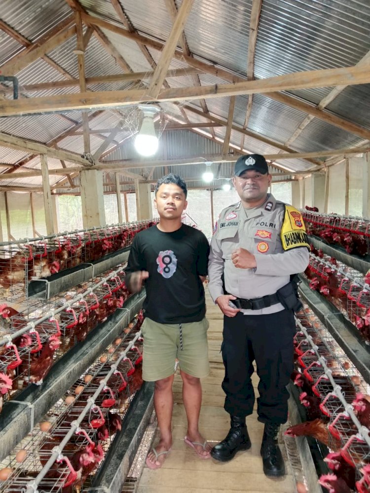 Bhabinkamtibmas Laksanakan Sambang dan Monitoring Usaha Peternakan Ayam Petelur (Bumdes) Desa Ruang