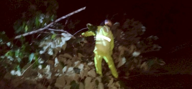 Langkah  cepat dan Sigap!  Bhabinkamtibmas Polsek Reo Bersihkan Dahan Pohon Tumbang yang Tutupi Jalan Trans Reo-Ruteng
