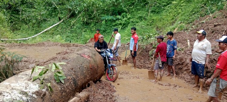Bhabinkamtibmas Kecamatan Cibal Tinjau Lokasi Longsor di Lampung Bea Leba, Desa Nenu