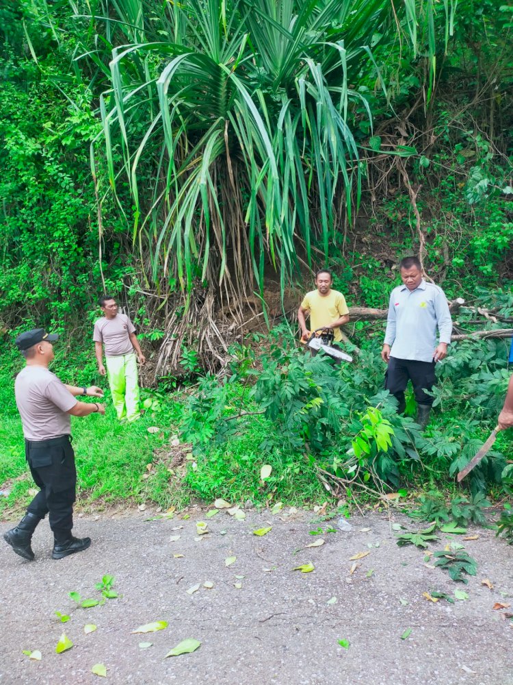Kapolsek Reo Pimpin Anggota Evakuasi Pohon Tumbang di Jalan Reo–Ruteng