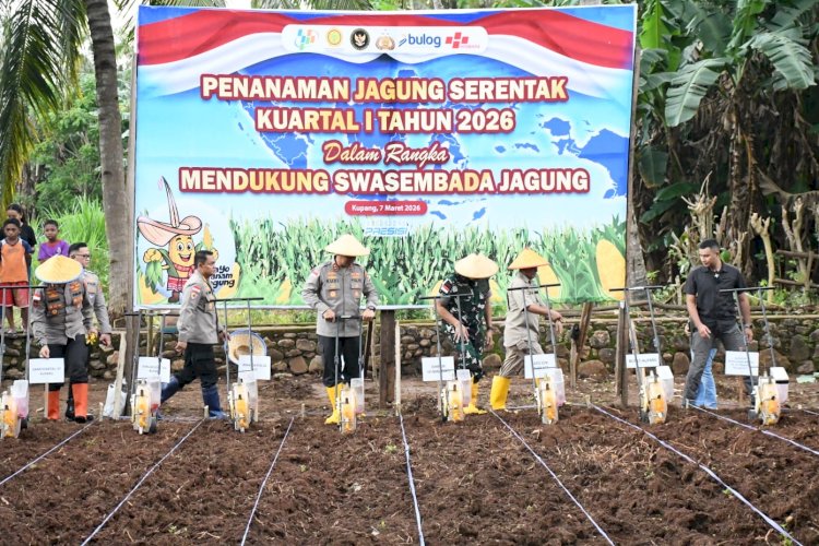 **Dukung Asta Cita Presiden RI, Polda NTT Perluas Akselerasi Swasembada Pangan: Targetkan 10.000 Hektar Lahan dan Produktivitas 5 Ton per Hektar**