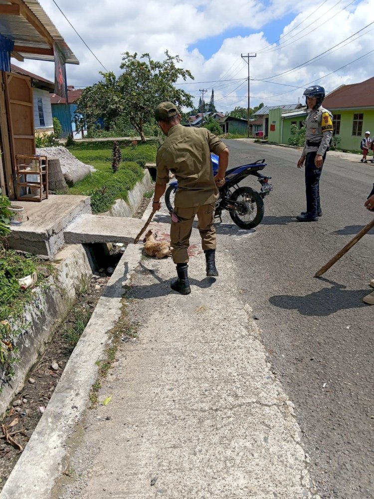Bhabinkamtibmas Kelurahan Bangka Nekang Bersama Instansi Terkait Laksanakan Penertiban HPR