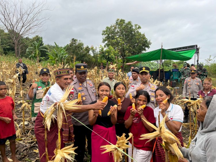 Panen Raya Jagung Serentak Kuartal II 2026 Digelar di Satar Mese, Polres Manggarai Dukung Ketahanan Pangan