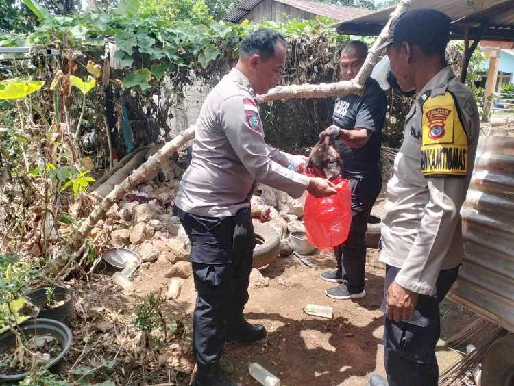 Cegah Penyebaran Rabies, Bhabinkamtibmas  Polres Manggarai Eliminasi HPR dan Imbau Warga Waspada